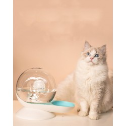 Cat Drinking Fountain