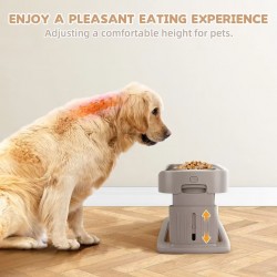 Pet Bowls