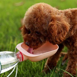 Pet Food Feeder
