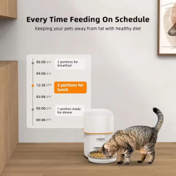 Pet Feeder Bowl