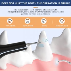 Teeth Whitening Toothbrush for Pet