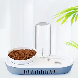 Pet Food Bowl
