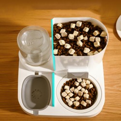 Dogs Water Bowl