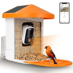 Wholesale Bird Food Feeder