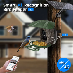 Bird Feeder Bowl