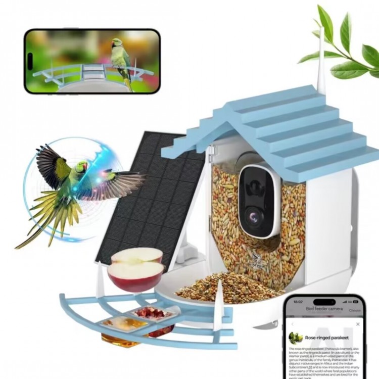 Wholesale Bird Food Feeder