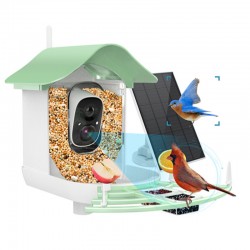 Smart Bird Feeder Bowl