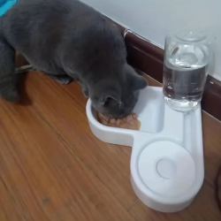 Drinking Bowl