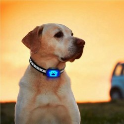 Wholesale Bark Control Collar