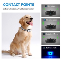 Control Collar