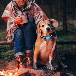Wholesale Bark Control Collar 7 Levels Rechargeable Anti Dog Bark Collar With Led Screen