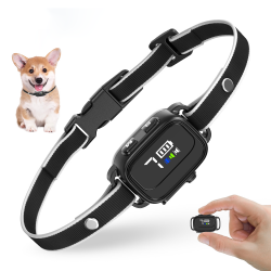 Bark Dogs Collar