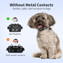 Dogs Collar