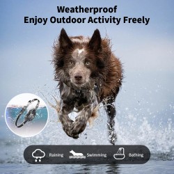 Anti Bark Dogs Collar Best Seller Voice Activated No Barking Vibration Bark Control Collar for Dog