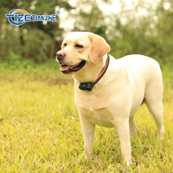 Custom Dogs Anti-Bark Collar Trainer No Bark Collar Anti Bark Device