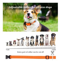 Control Collar
