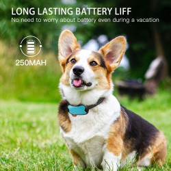 Rechargeable Anti-Bark Dog Collar Most Popular No Bark Control Collar