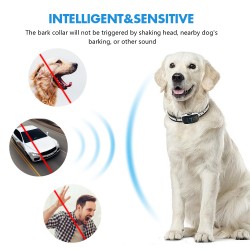Custom Anti-Bark Dog Collar Display Rechargeable Harmless Bark Collar