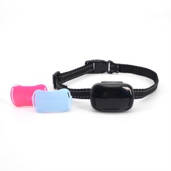 Dog Collar