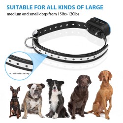 Dog Collar