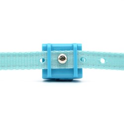 Electric Beep Dogs Collar