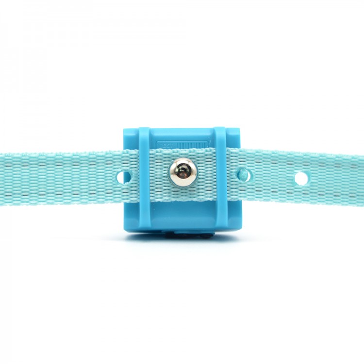 Electric Beep Dogs Collar