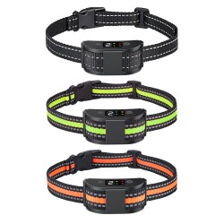 Dog Collar