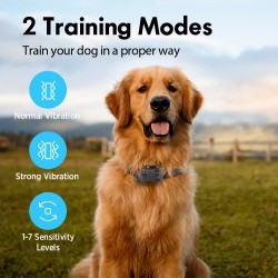 Custom Harmless Dog Collar Vibration No Shock No Bark Collar Device Anti Bark Collar