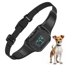 Double Motor Bark Collar