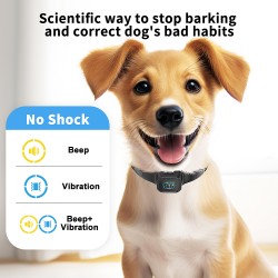 Bark Collar