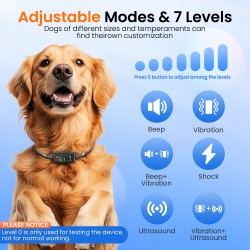 Vibration Shock Collar