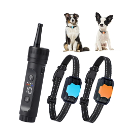 Custom Dog Training Collar