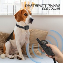 Training Collar