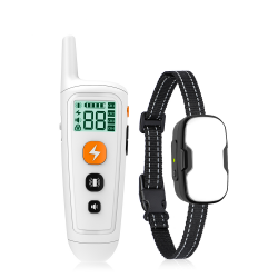 Electric Shock Collar
