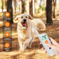 Dog Electric Shock Collar Patent Design 300M Training Collar for Dogs