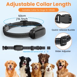 Shock Collar