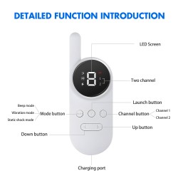 Electric Collar