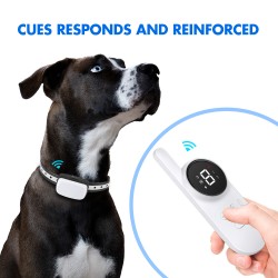 Dog Trainer Electric Collar USB Rechargeable Cat Training Collar With Remote Control