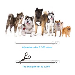 Rechargeable Dog Bark Collar Waterproof Wireless Remote Dog Training Collar