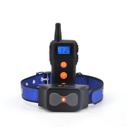 Dog Collar