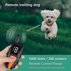 Beeper Collar