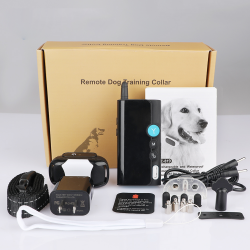 Dog Training Collar