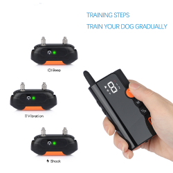 Training Collar