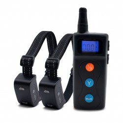 Custom Dog Training Collar