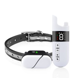 Waterproof Dog Training Collar