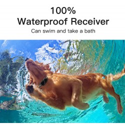Waterproof Dog Training Collar Remote Pet Training Products Electronic Bark Control Stocked Plastic