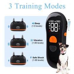Dog Training Collar
