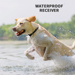 Harmless Dog Shock Collar 1000 Feet Remote Range Control 4 Receiver Shock Collar Dog Training Collar