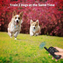 Adjustable Warning Sound Collar Shock Outdoor IPX7 Waterproof Remote Dog Training Collar
