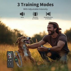 Remote Control Collar